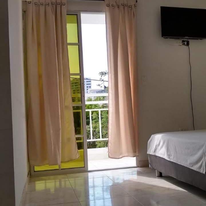 Palmeras Rodadero Santa Marta (Magdalena)